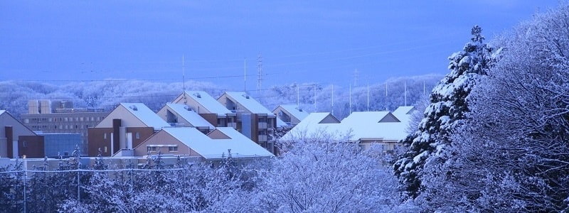 snow_house.jpg